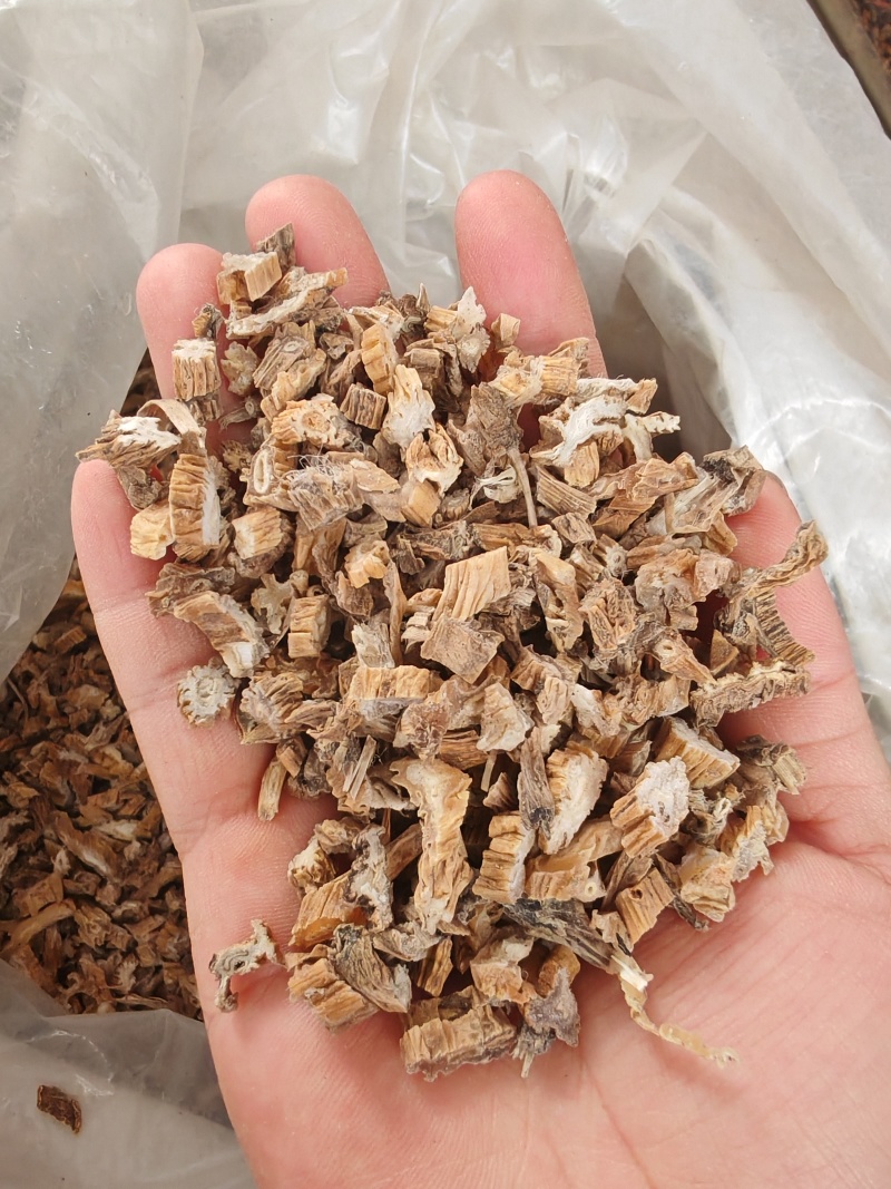 小粒百部