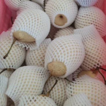 鸭梨疯抢模式