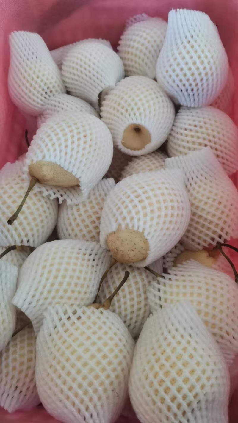 鸭梨疯抢模式