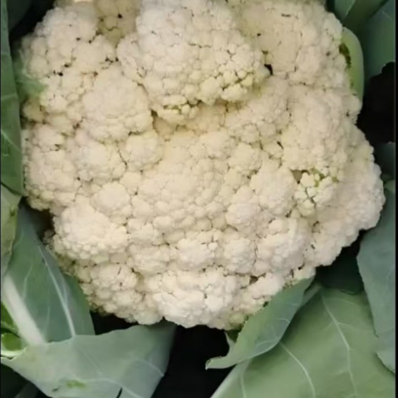 有机花菜