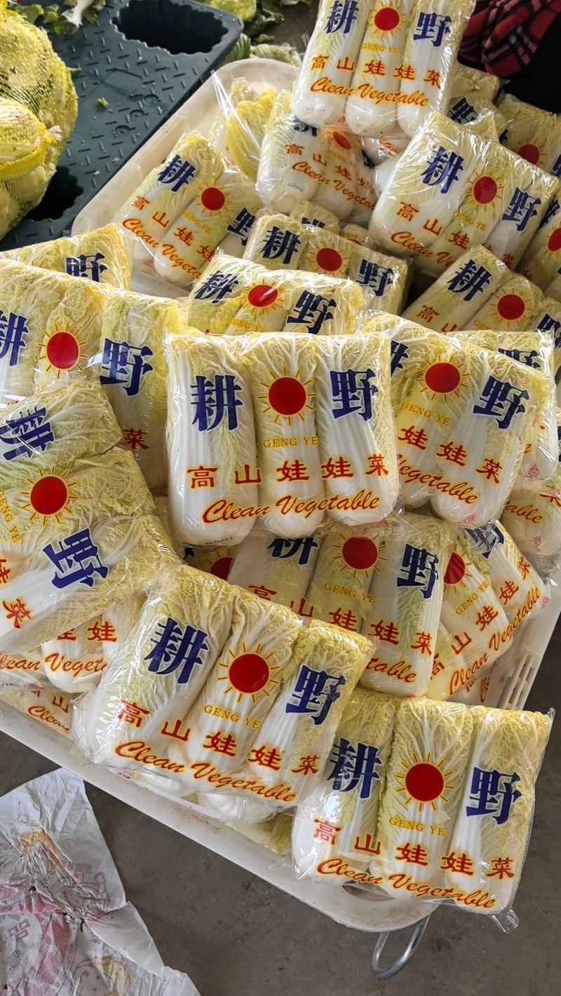 黄心娃娃菜，真空打氮，出口韩国，俄罗斯，可提供质检