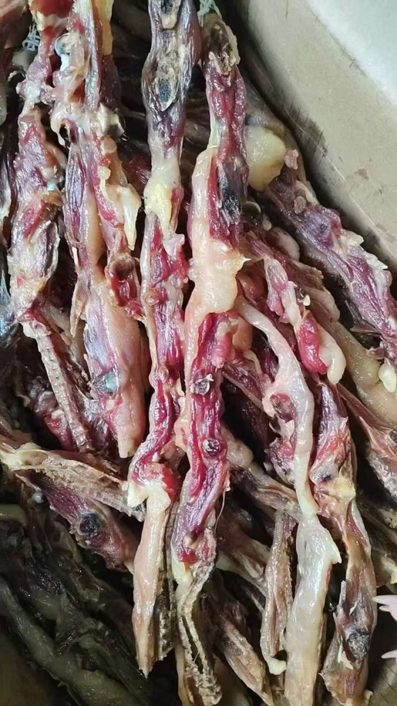 腊鸡条，一件40斤，成都现货，需要的老板联系我，一手货源