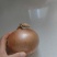 黄皮洋葱