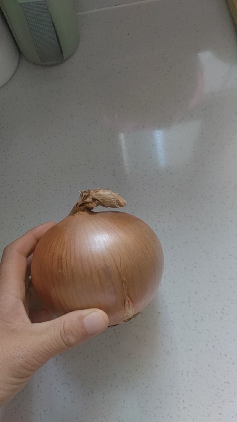 黄皮洋葱