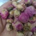 白芍花中药材芍药花球干芍花芍药花花茶无硫白芍花