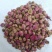 白芍花中药材芍药花球干芍花芍药花花茶无硫白芍花