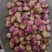 白芍花中药材芍药花球干芍花芍药花花茶无硫白芍花