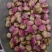 白芍花中药材芍药花球干芍花芍药花花茶无硫白芍花