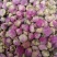 白芍花中药材芍药花球干芍花芍药花花茶无硫白芍花