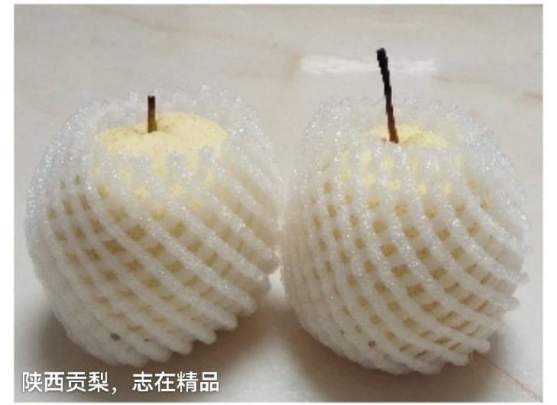 套袋酥梨