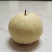 套袋酥梨