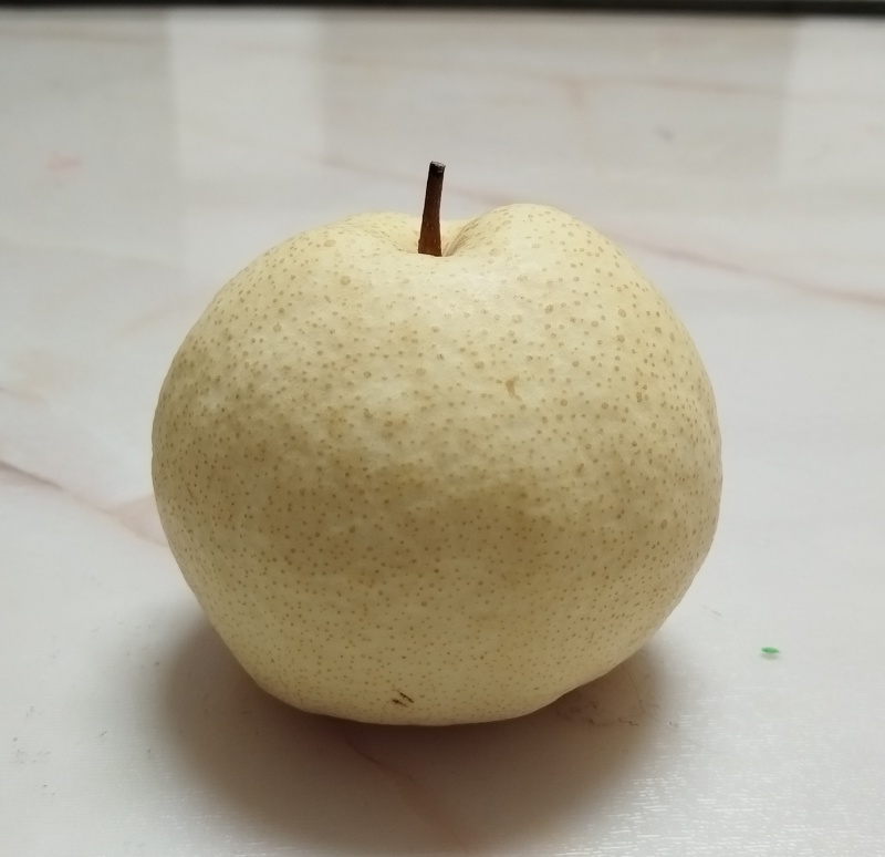 套袋酥梨