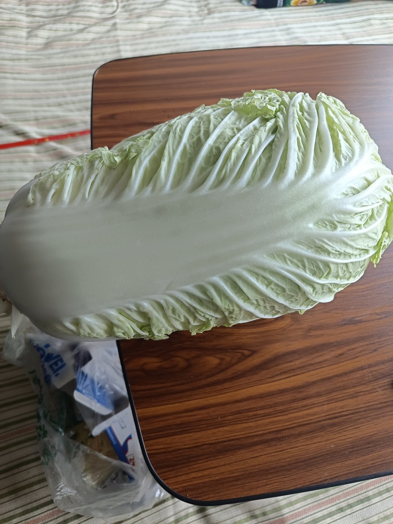 大白菜北京3号金立达