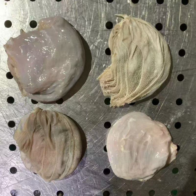 羊百叶，羊千层肚，鲜冻羊百叶，鲜冻羊千层肚
