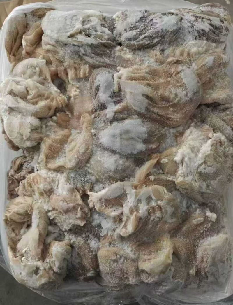 羊百叶，羊千层肚，鲜冻羊百叶，鲜冻羊千层肚