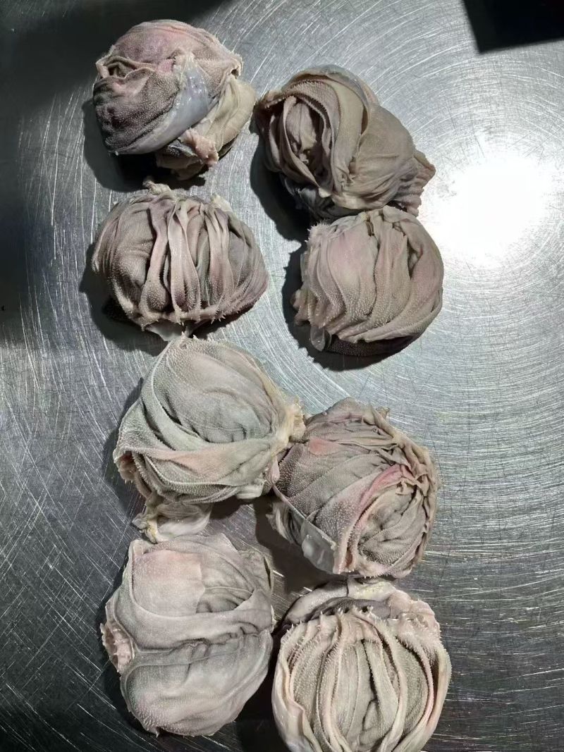 羊百叶，羊千层肚，鲜冻羊百叶，鲜冻羊千层肚