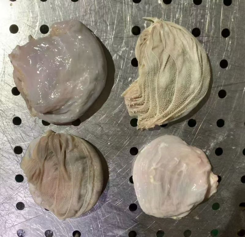 羊百叶，羊千层肚，鲜冻羊百叶，鲜冻羊千层肚
