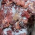 驴肉手续齐全