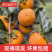 洋丰脆甜柿子