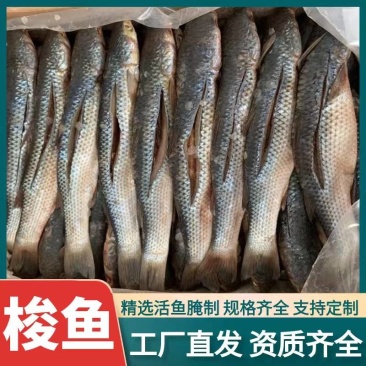 咸鱼梭鱼咸梭鱼咸鱼干腌渍鱼海梭鱼海鱼鱼干非支鱼红眼鱼批发