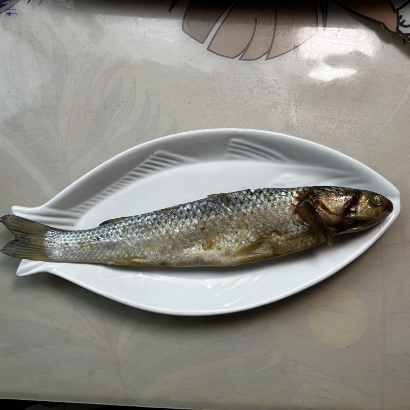 咸鱼梭鱼咸梭鱼咸鱼干腌渍鱼海梭鱼海鱼鱼干非支鱼红眼鱼批发