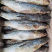 咸鱼梭鱼咸梭鱼咸鱼干腌渍鱼海梭鱼海鱼鱼干非支鱼红眼鱼批发