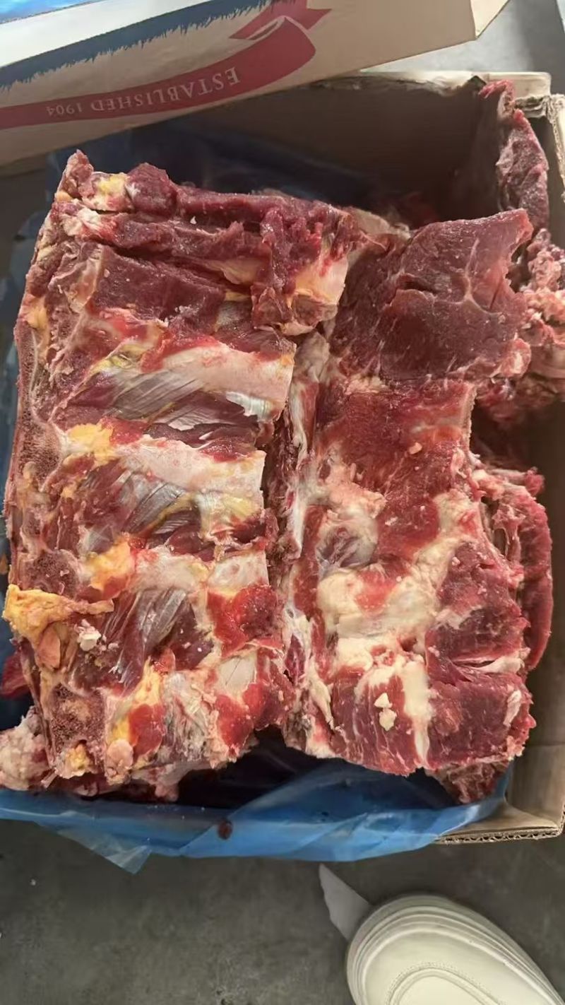 牛脊骨