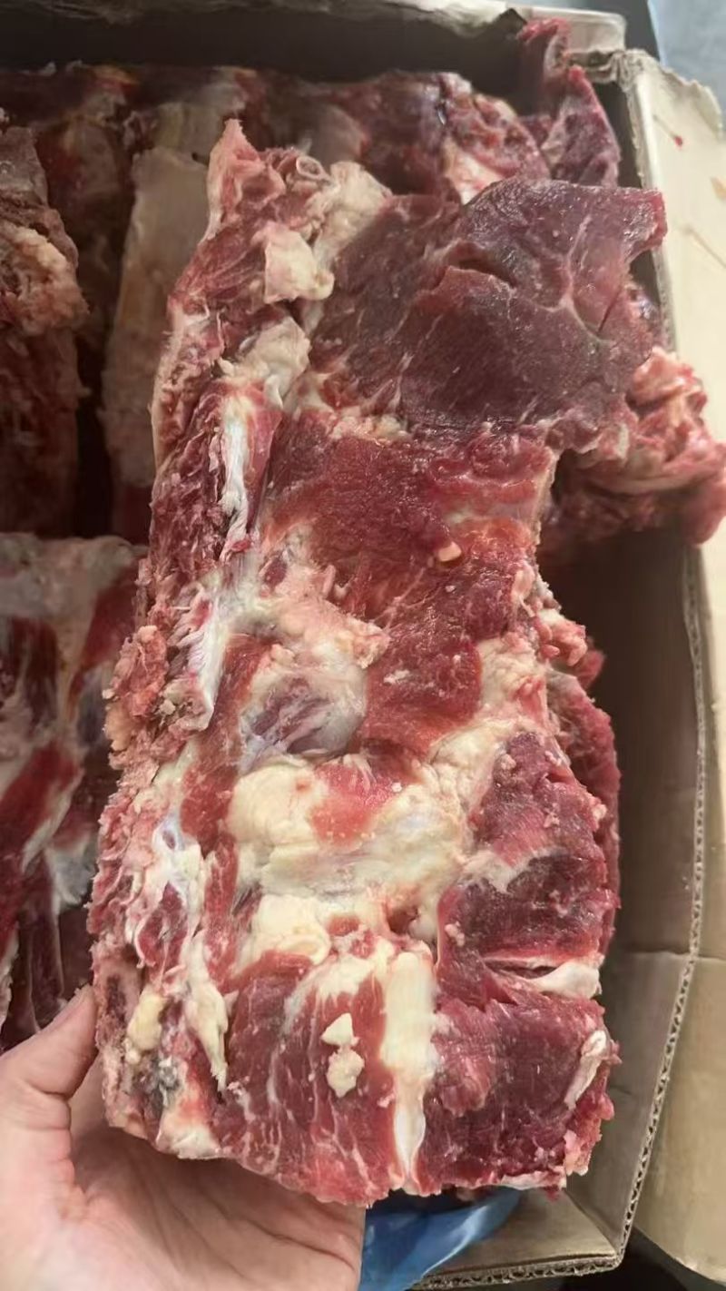 牛脊骨