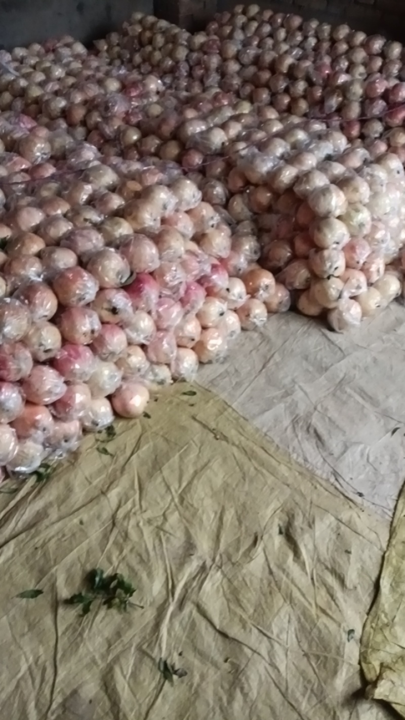 西安临潼大量甜石榴，大量酸石榴果农直销质量非常好