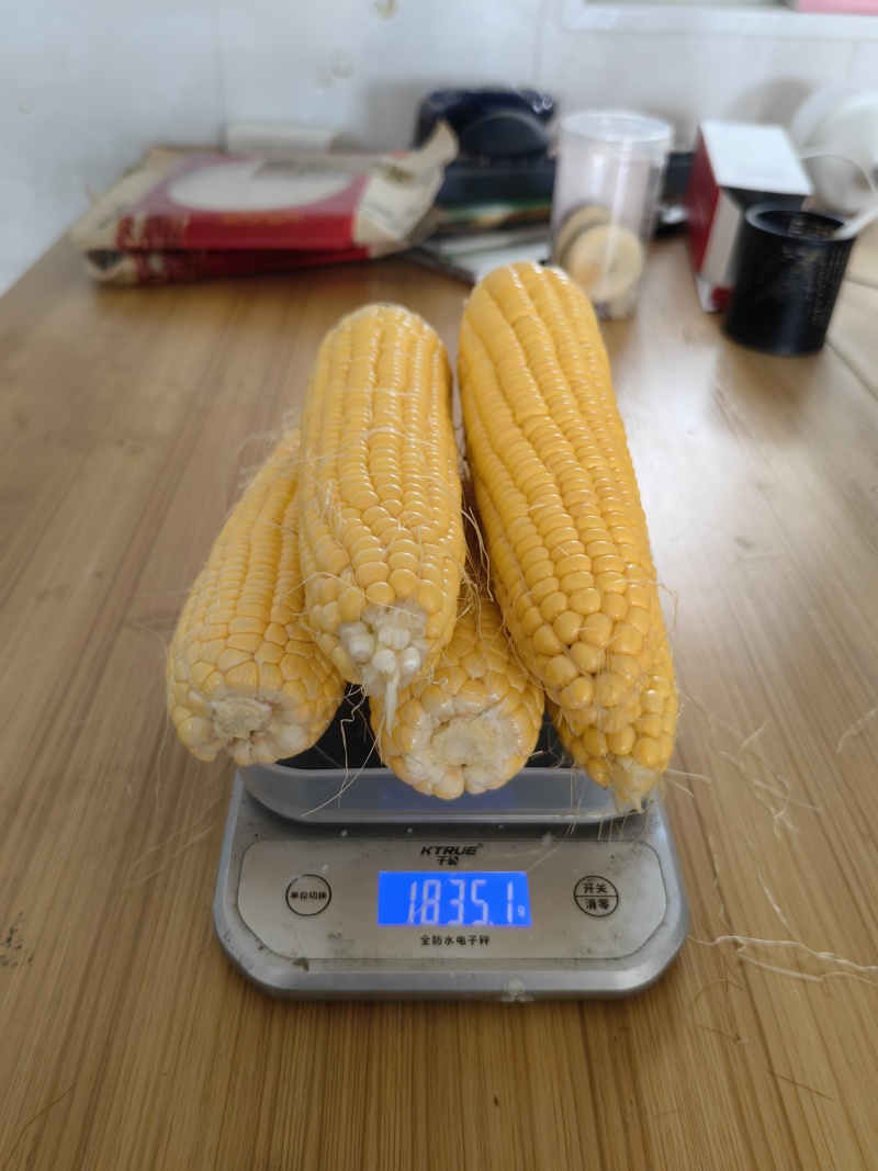 甜玉米，
