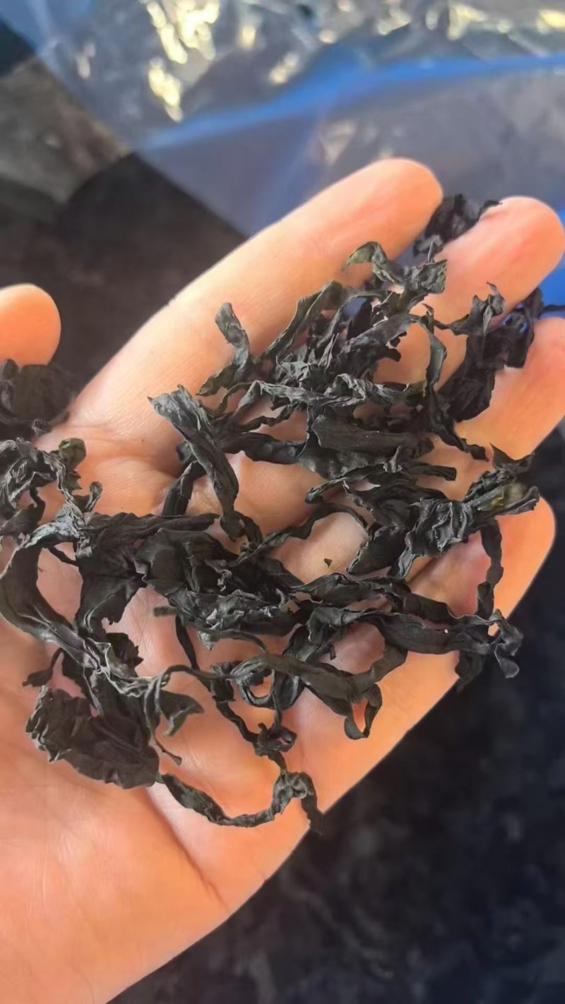 裙带菜干裙带菜水产干货精品无沙裙带菜澡菜海白菜批发非紫菜