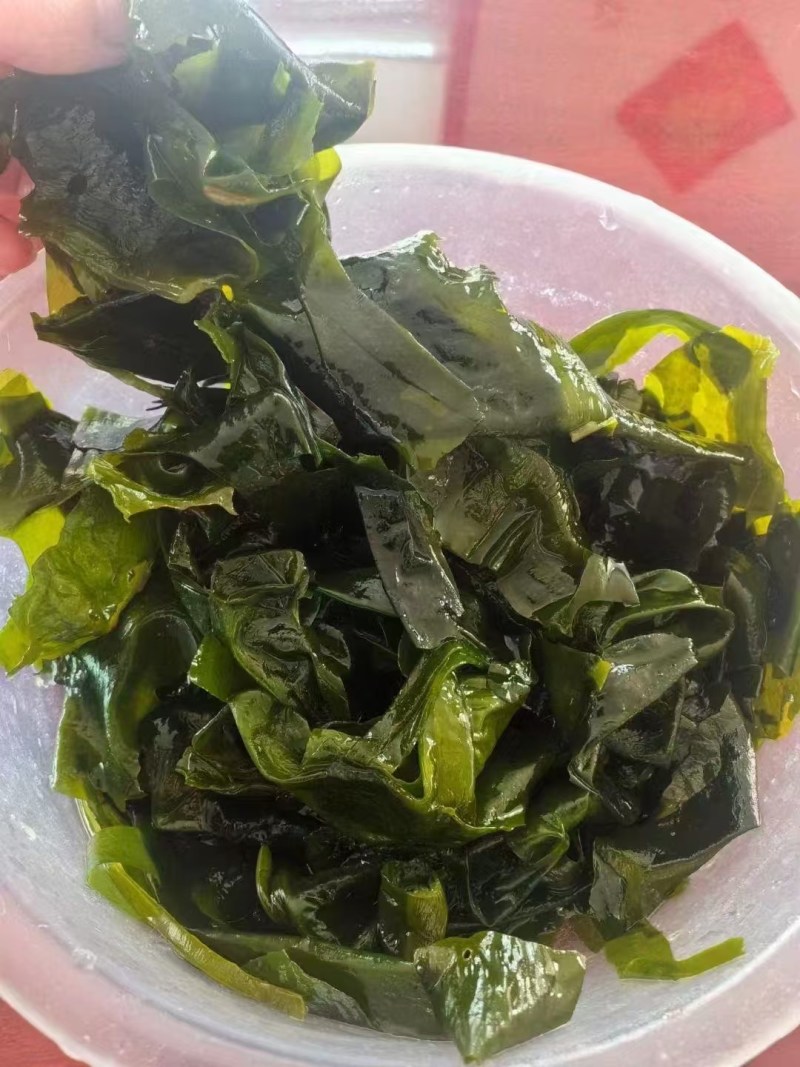 裙带菜干裙带菜水产干货精品无沙裙带菜澡菜海白菜批发非紫菜