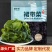 裙带菜干裙带菜水产干货精品无沙裙带菜澡菜海白菜批发非紫菜
