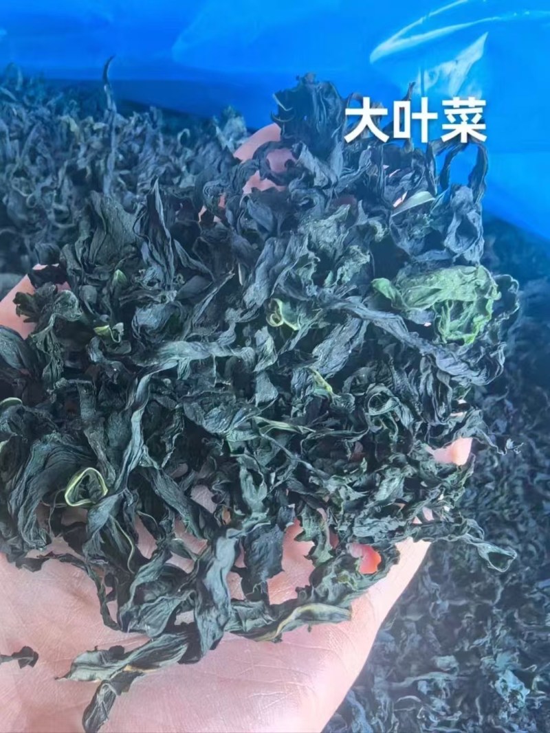 裙带菜干裙带菜水产干货精品无沙裙带菜澡菜海白菜批发非紫菜