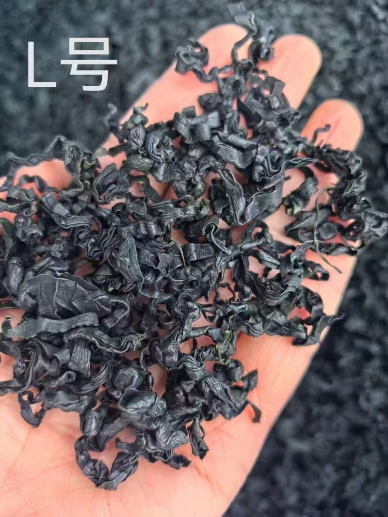 裙带菜干裙带菜水产干货精品无沙裙带菜澡菜海白菜批发非紫菜