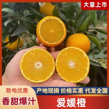 爱媛果冻橙，纯甜化渣，口感细腻，老少皆宜。