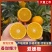 爱媛果冻橙，纯甜化渣，口感细腻，老少皆宜。