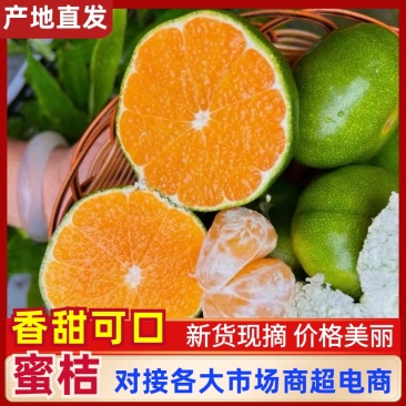 四川蜜桔，皮薄化渣，汁水充，足甜度适口。