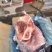 多肉前棒骨