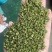 青花椒