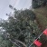 红富士苹果，原产地，欢迎咨询下单