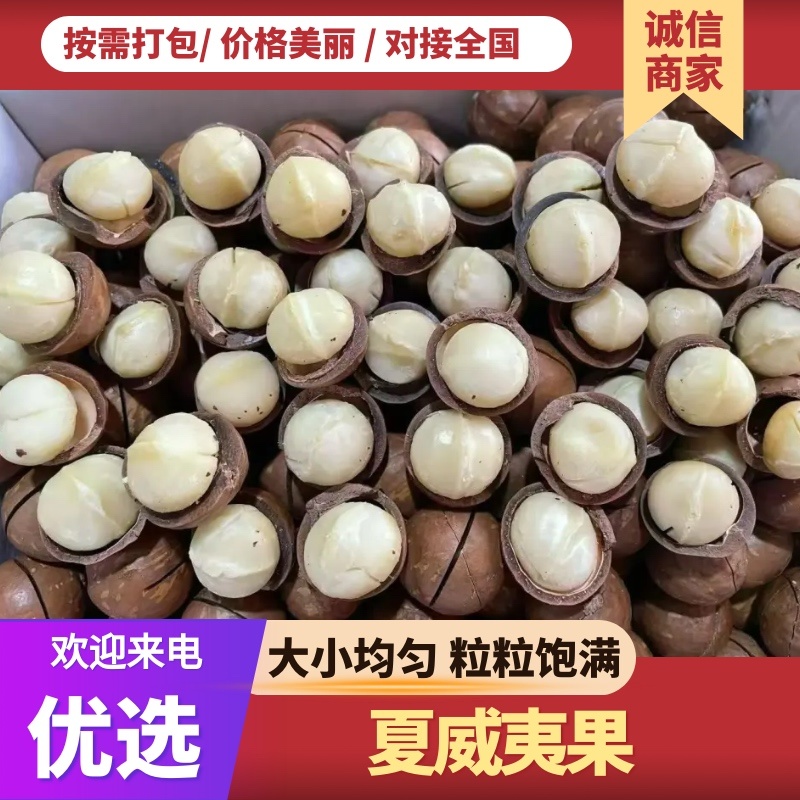 【热卖】云南夏威夷果精品大果可供商超量大优惠欢迎电联