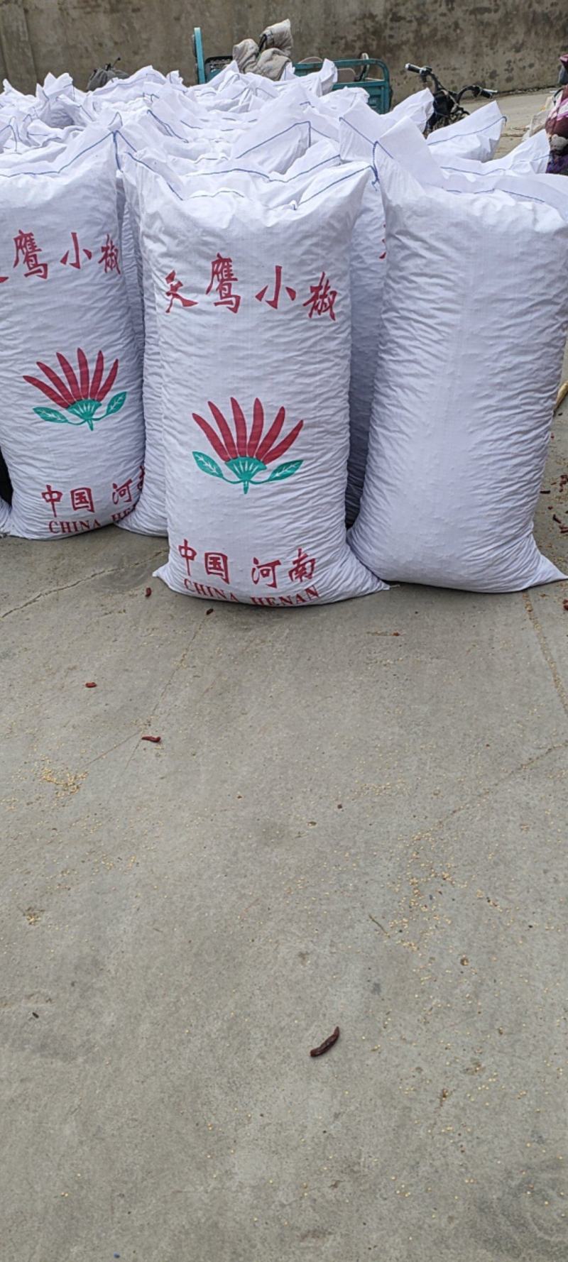 三英椒