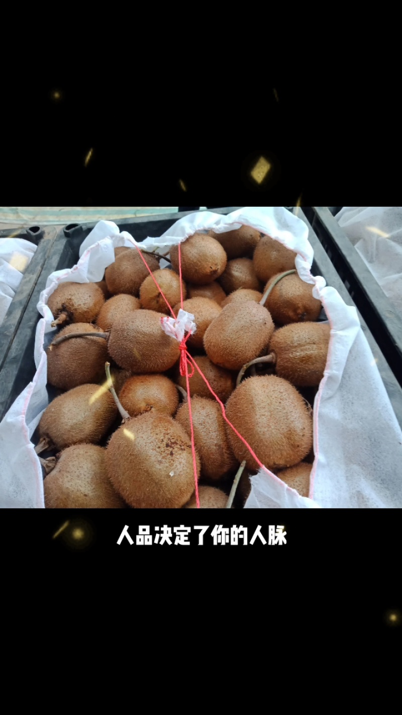 徐香弥猴桃