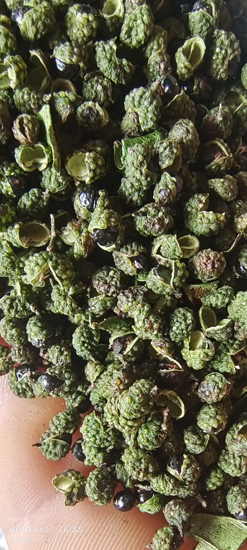 青花椒