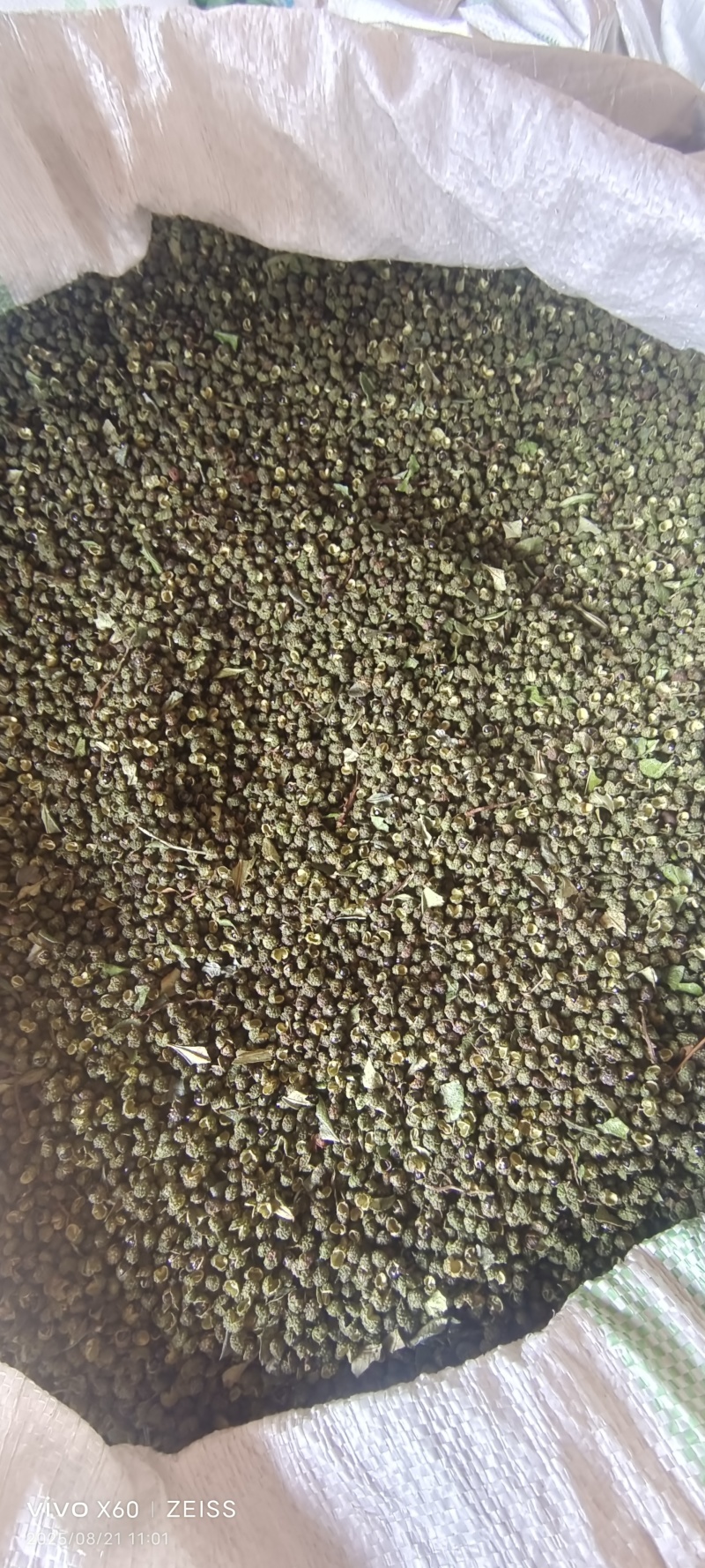 青花椒