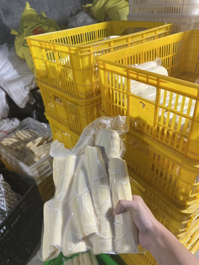 广西黄心木薯