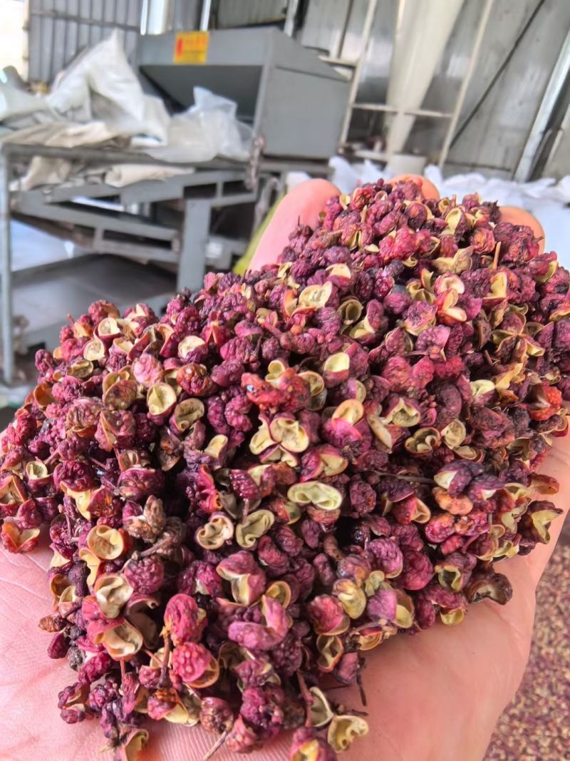 香味浓郁，红花椒舌尖上的美食色红油重基地直供联系