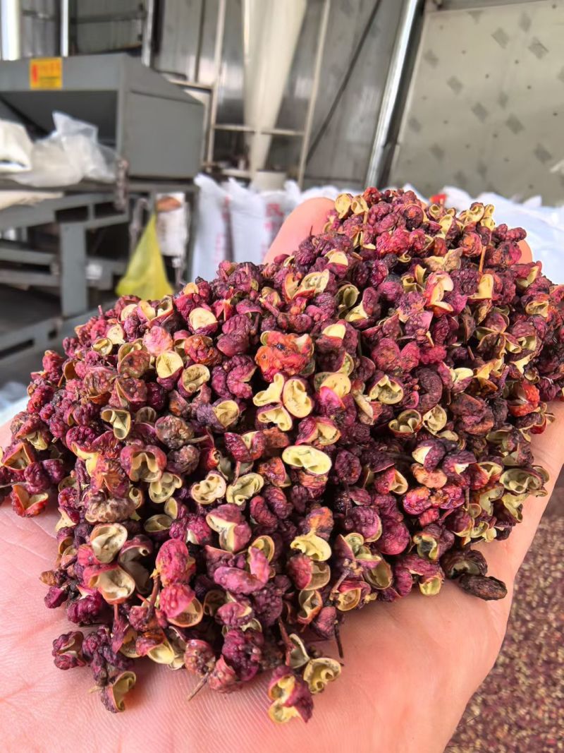 香味浓郁，红花椒舌尖上的美食色红油重基地直供联系