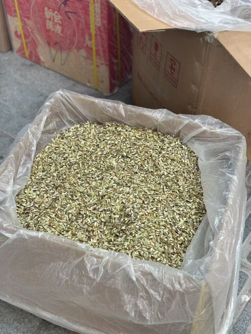 云南铁皮石斛切片新鲜上市价格美丽欢迎对接